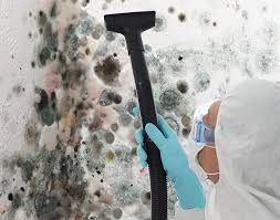 Best Mold Damage Restoration  in Kalama, WA